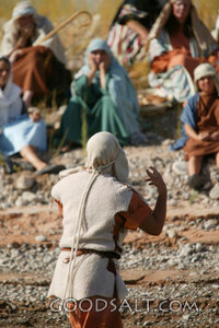 Jesus Teaching the Crowd