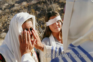 Jesus Restores Sight to the Blind