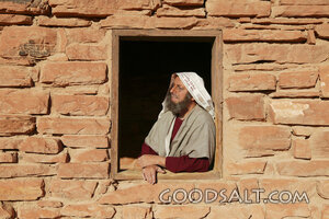 Daniel at the Open Window