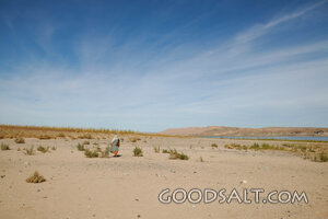 Isrealite in Desert