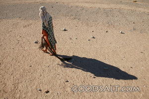 Isrealite Walking in Desert
