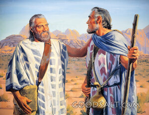 Jacob Is Forgiven