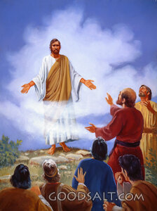 Jesus Ascends Into Heaven