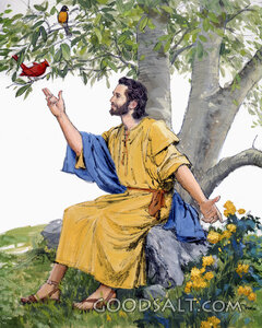 Jesus, Birds, and Flowers