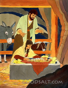 Jesus' Birth