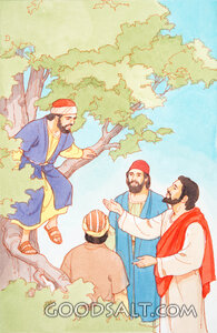 Jesus Calls Zacchaeus Down.