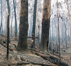 Jesus Dies in Burnt Forest