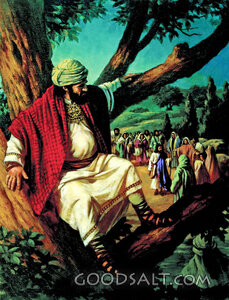 Jesus Loved Zacchaeus