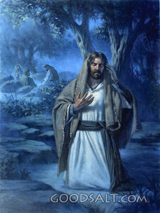 Jesus Prayed in Gethsemane