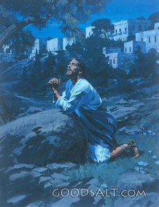 Jesus Prays for Us