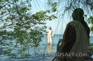 Jesus Walks on Water