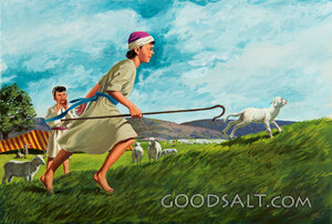 Joseph and Benjamin - Chasing a Lamb