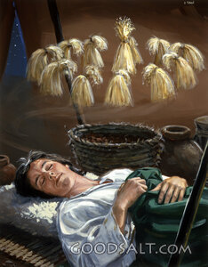 Joseph's Dream