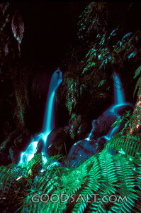 Deep Waters in the Hidden Garden