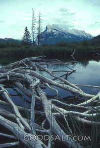 Still Waters Beneath the Mountain