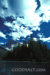 Majesty of Creation