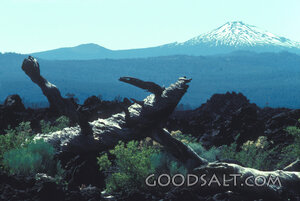 Snowcapped Mountain Beyond the Lava Field