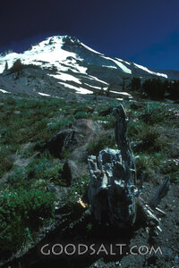 Snowcapped Mountain in the Wilderness
