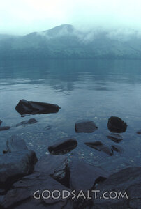 Still Waters in the Mist