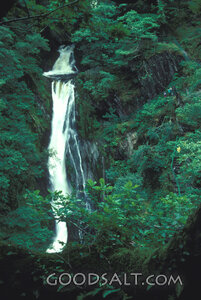 Waterfall in the Forest Gorge