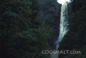 Waterfall in the Hidden Forest