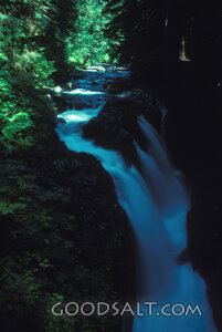 Forest Waterfall of Living Water
