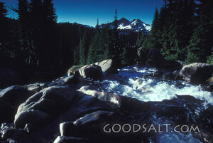 Mountain Stream in God’s Creation