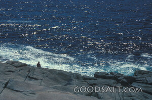 Stillness Beside the Sea