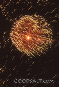 Golden Firework Burst