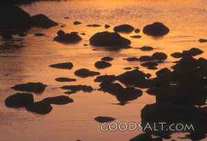 Evening Waters Among the Rocks