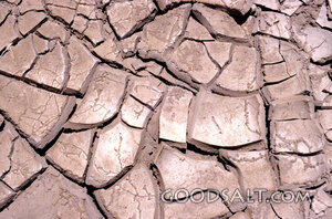 Parched Earth and Spiritual Thirst