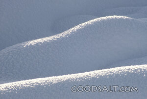 Sunlit Snowdrift