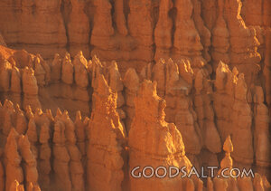 Sandstone Spires of Creation