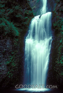 Waterfall in the Forest Sanctuary