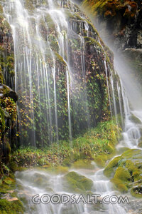 Streams of Living Water