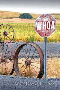Whoa Sign on a Country Road