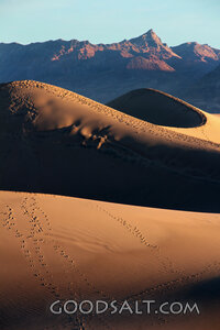 Footprints Through the Wilderness
