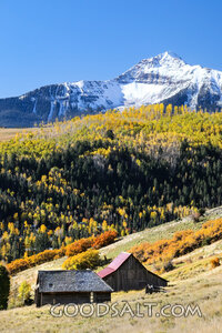 Autumn Homestead Beneath the Snowy Mountain