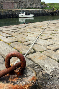 Harbor Mooring and Fishing Boat