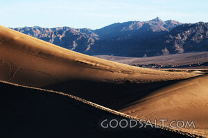 Wilderness Dunes Before the Mountains