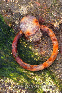 Weathered Iron Mooring Ring