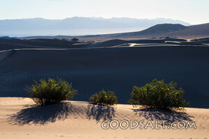 Desert Wilderness at First Light