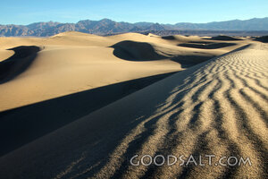 Wilderness Dunes and Distant Mountains
