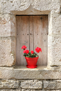 Geranium at the Old Stone Window