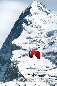 Soaring Before the Mountain