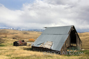 Weathered Barn in the Open Country