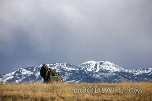 Rock in the Mountain Wilderness