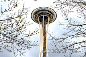 Space Needle in Spring Branches