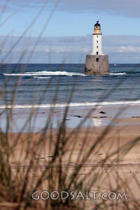 Beacon Over the Shore