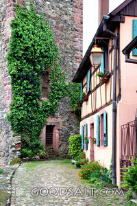 Ivy-Covered Narrow Way